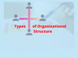 Types of Organizational Structure