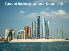 Pro services in uae