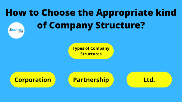 How to Choose the Appropriate kind of Company Structure?