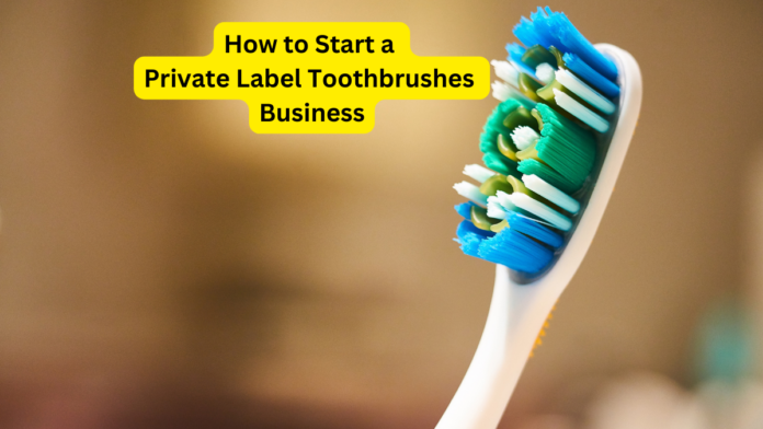 Easy methods to Begin a Personal Label Toothbrushes Enterprise