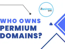 who owns premium domains